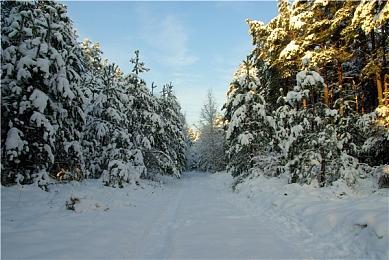 IGN新投票：2022年Q1哪款新游戏你最期待？《艾尔登法环》登顶